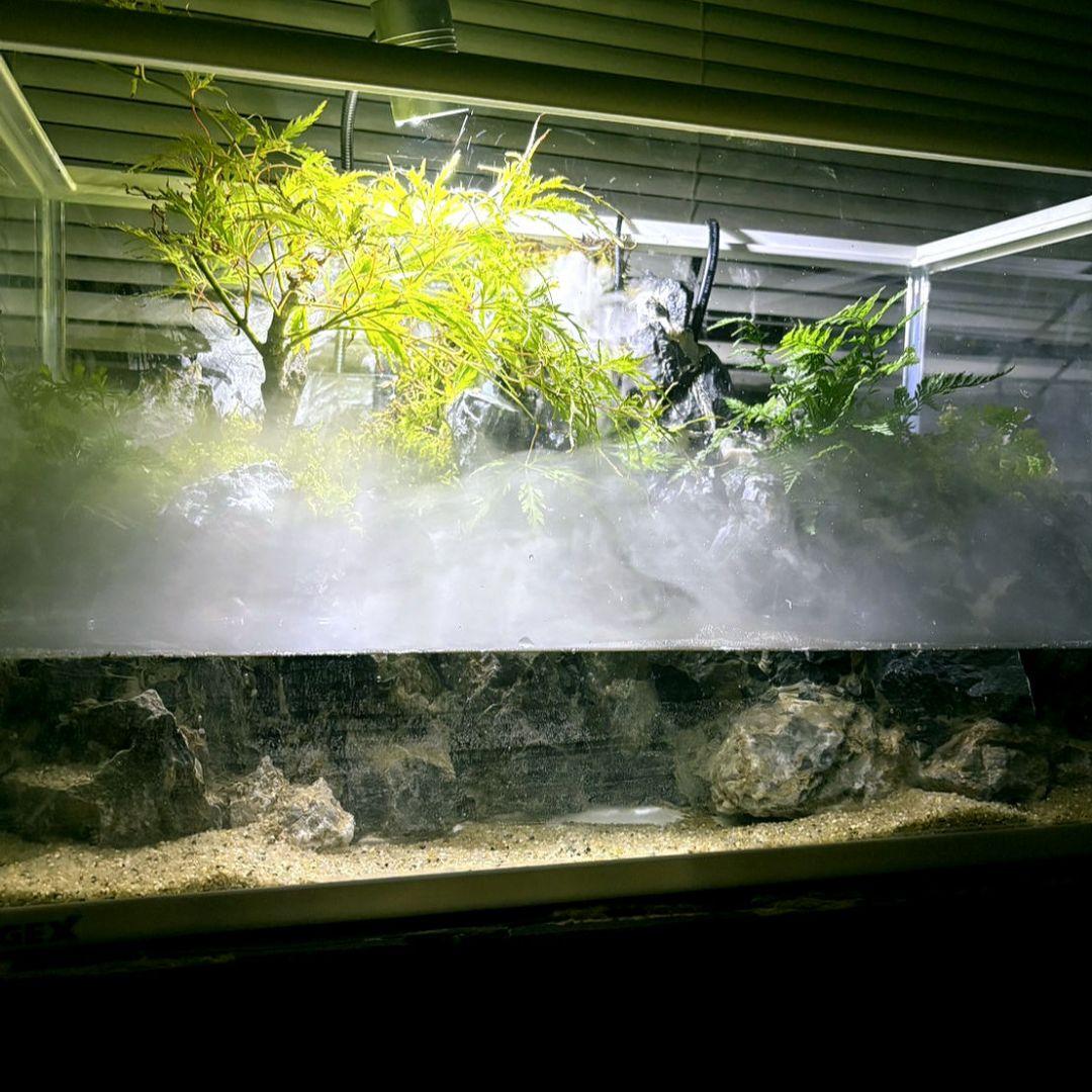 滝と霧の流れるアクアテラリウム　m3150m