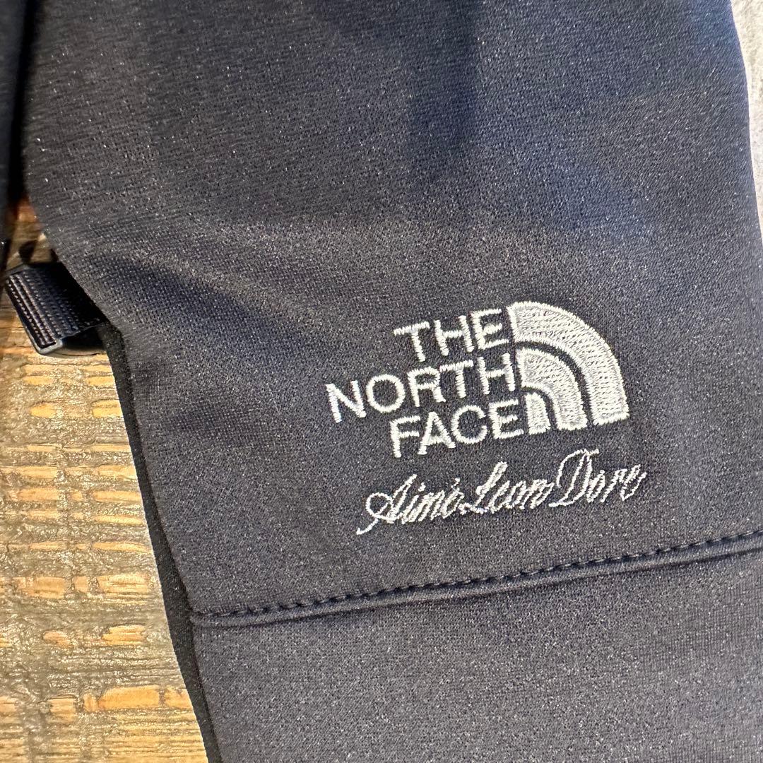 THE NORTH FACE × Aimé Leon Dore 手袋 【XL】