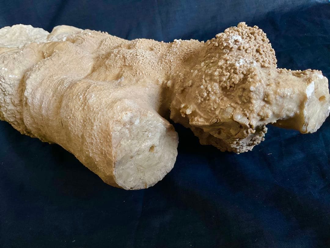 鍾乳石(石柱)６５cm１６.２kg