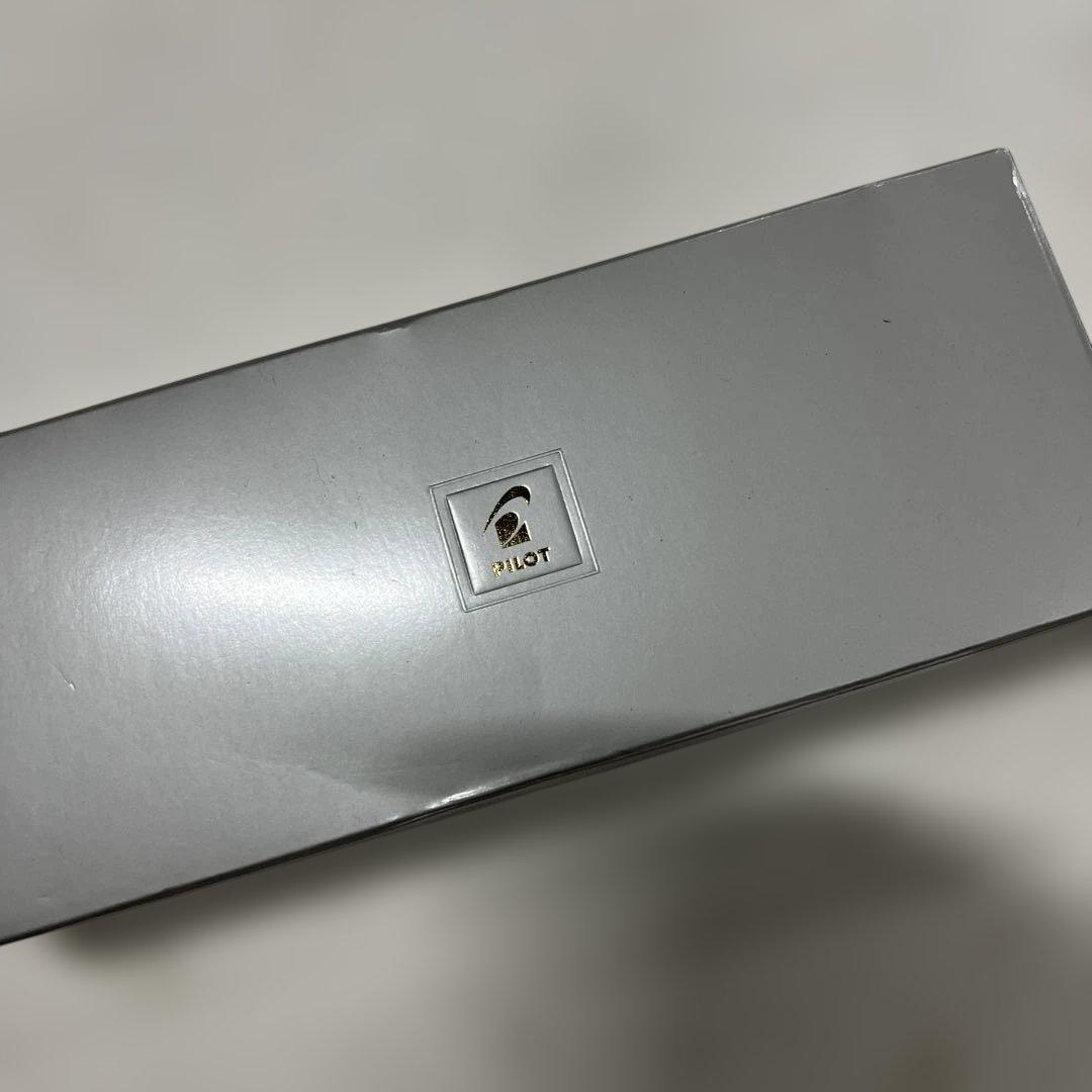 PILOT 万年筆 マンネンヒツカスタムヘリテイジSE MARM マーブルレッド