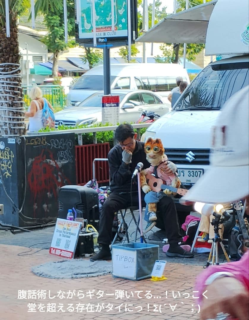 【激レア！】タイのお守りプラクルアン！タイガーアイ？箱付き！幸運&金運アップ！