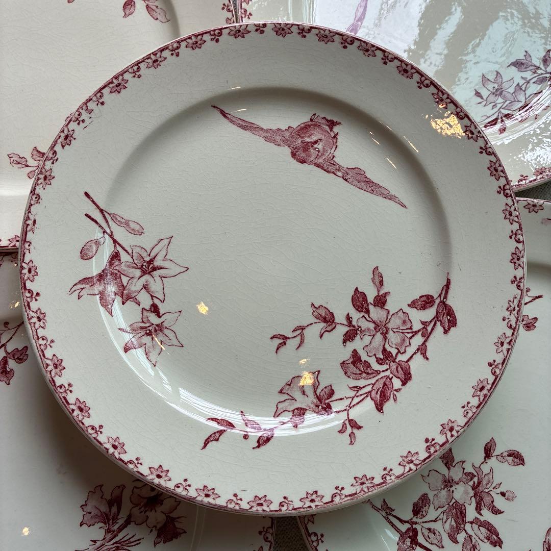 希少　サルグミンヌ ファボリ　ディナープレート フランスアンティーク食器