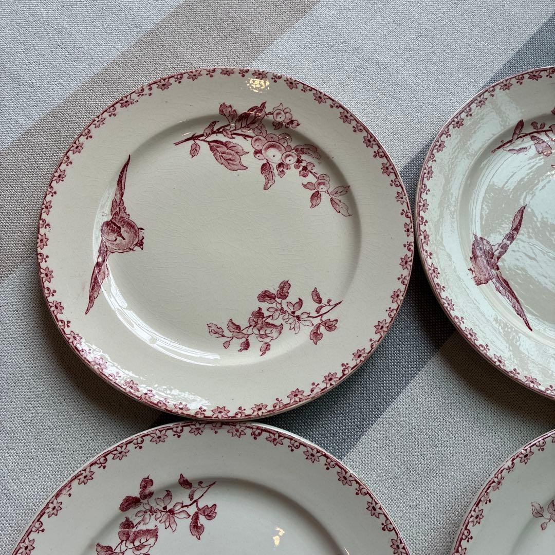 希少　サルグミンヌ ファボリ　ディナープレート フランスアンティーク食器