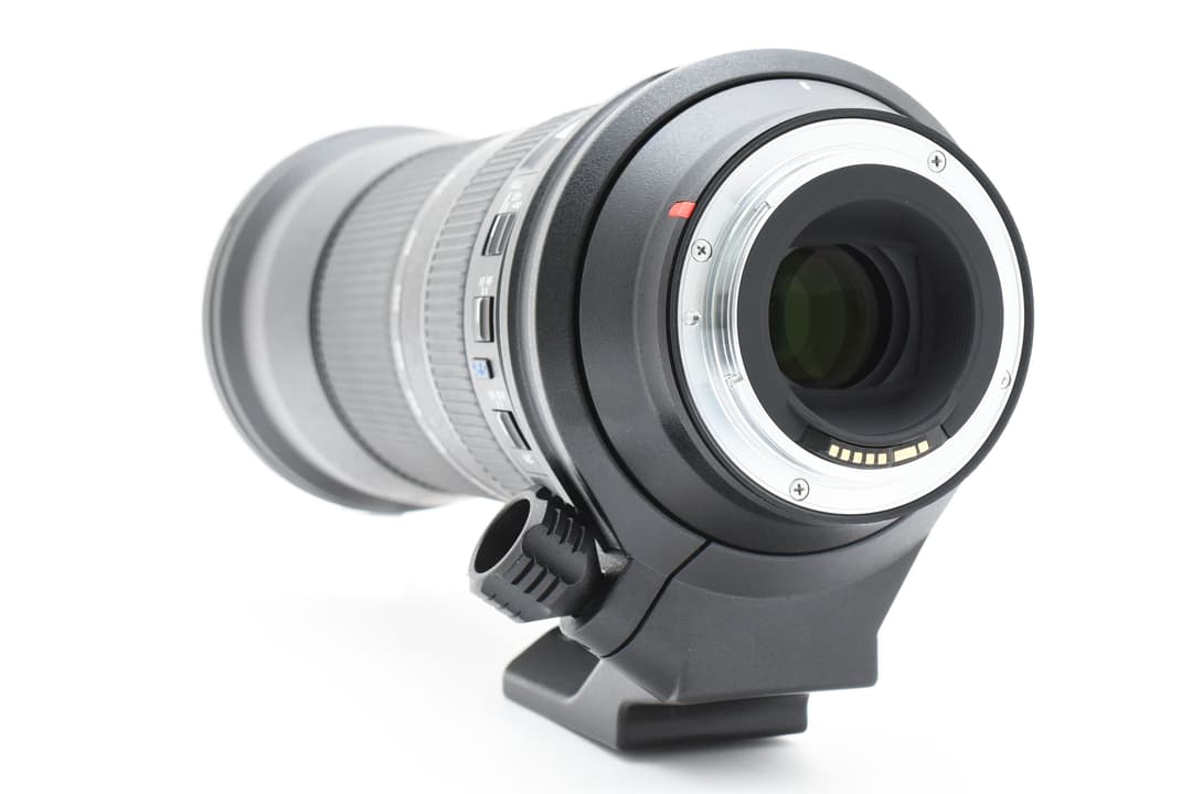 Canon 用 Tamron SP 150-600mm F5-6.3 Di VC