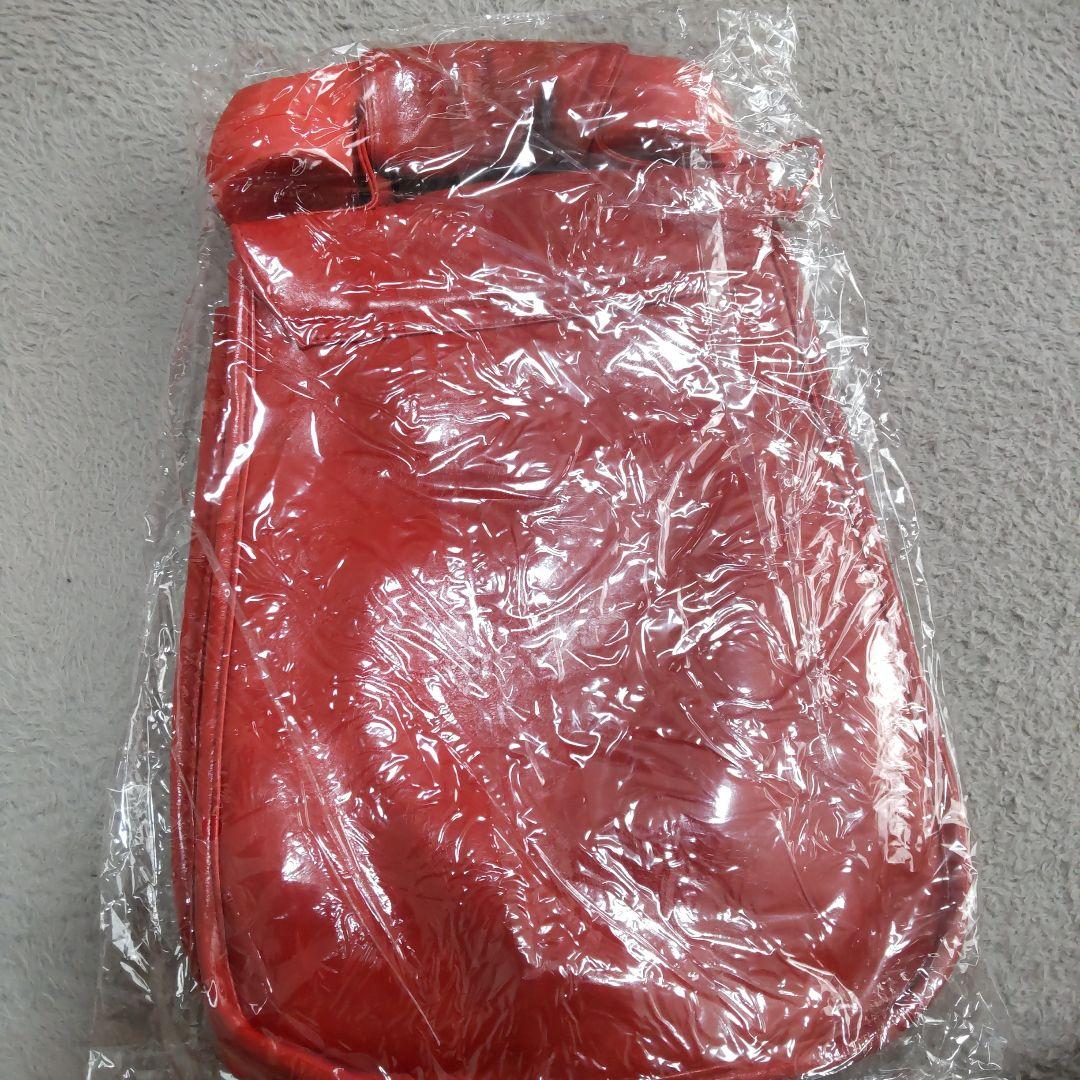 Lady Gaga デザインバッグ