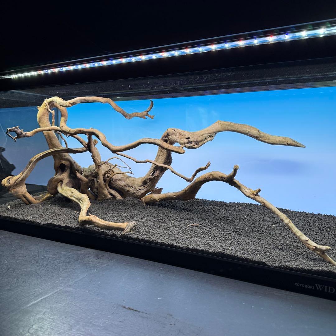 MDW-7223 ブランチウッドレイアウトセット　90cm水槽用流木　枝流木