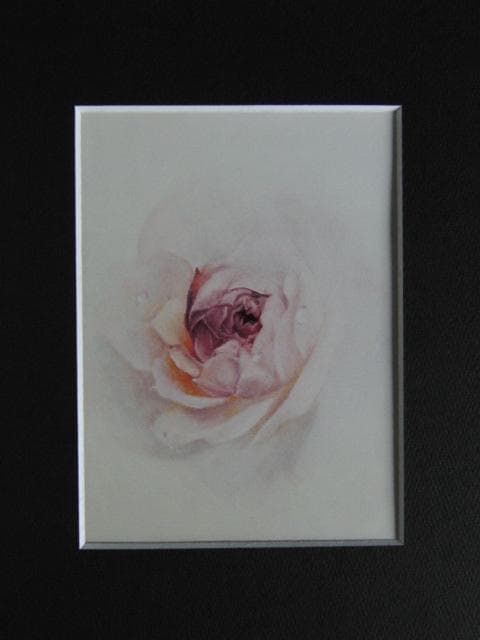 塩崎敬子、薔薇宇宙、希少な画集より、新品高級額、額装付、状態良好