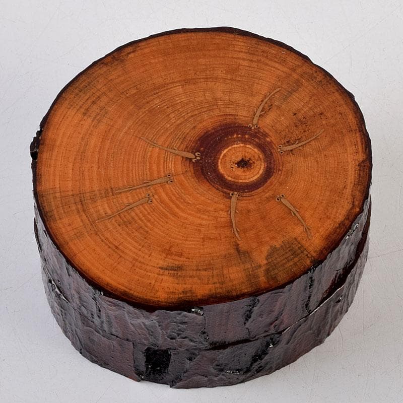 茶道具　加賀蒔絵師　川上峰春作　メダカ図　松皮竹香合　共箱　V　9127