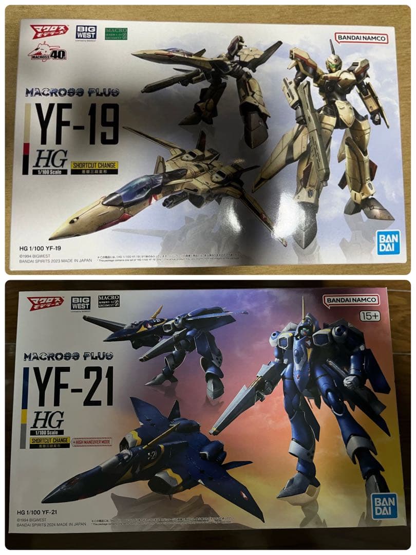 マクロスプラス YF-19 YF-21 ガンプラではないHG 2種 デカール付き