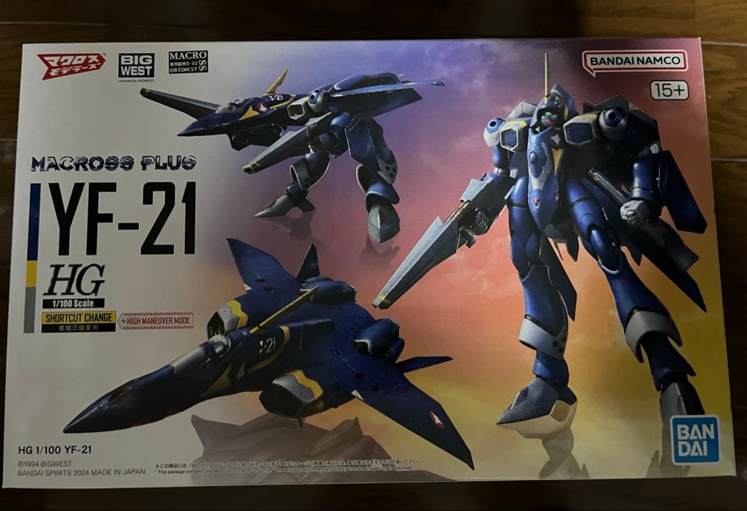 マクロスプラス YF-19 YF-21 ガンプラではないHG 2種 デカール付き