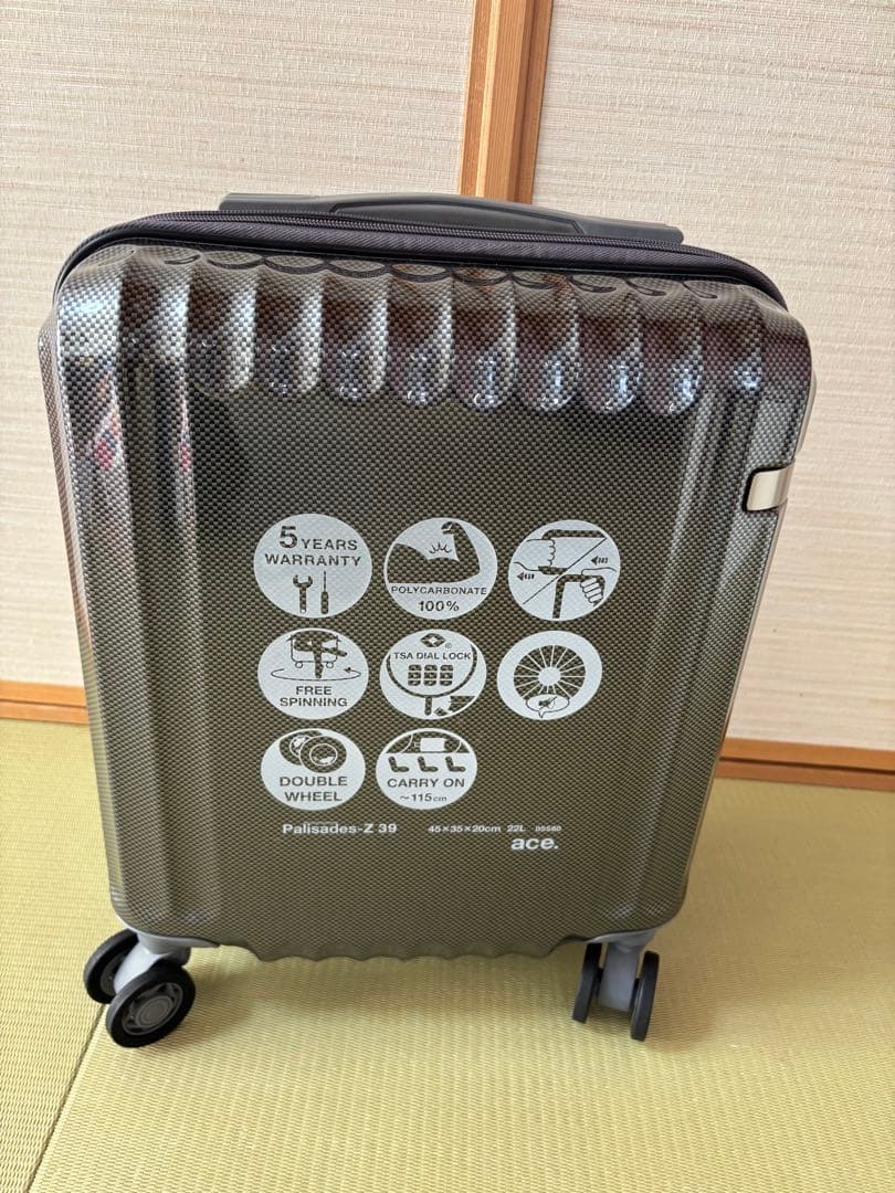 ACE スーツケース 機内持ち込み 22L TSAロック ポリカーボネート新品