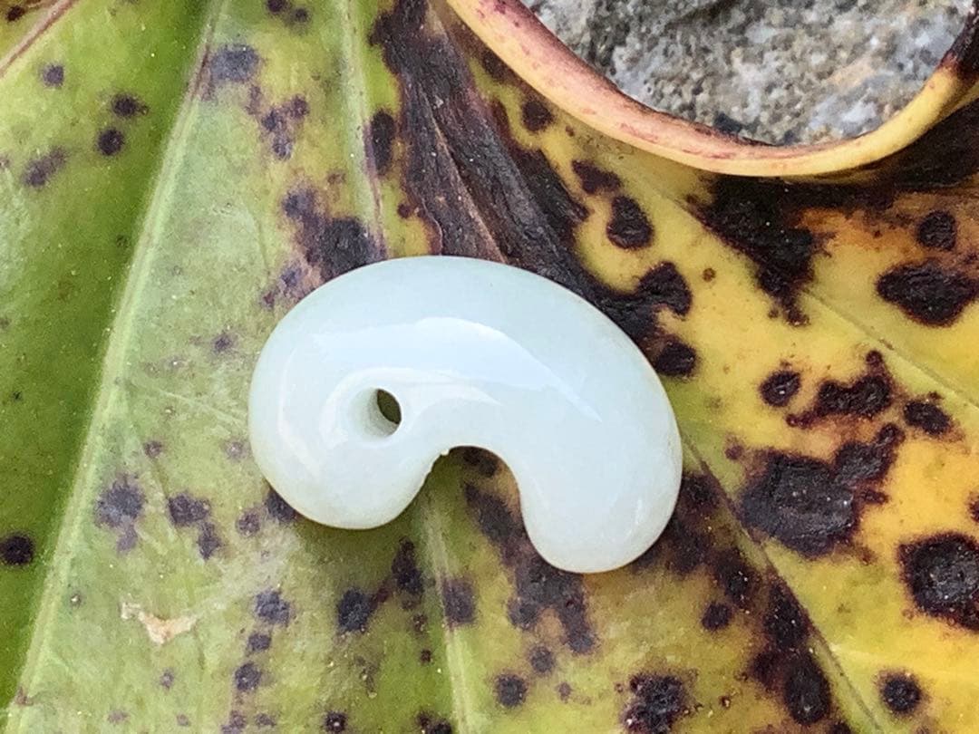 ✳純白氷肌‼️無垢の極上物　糸魚川翡翠勾玉　安価8800円卸し売り‼️ 鑑定鑑別書付