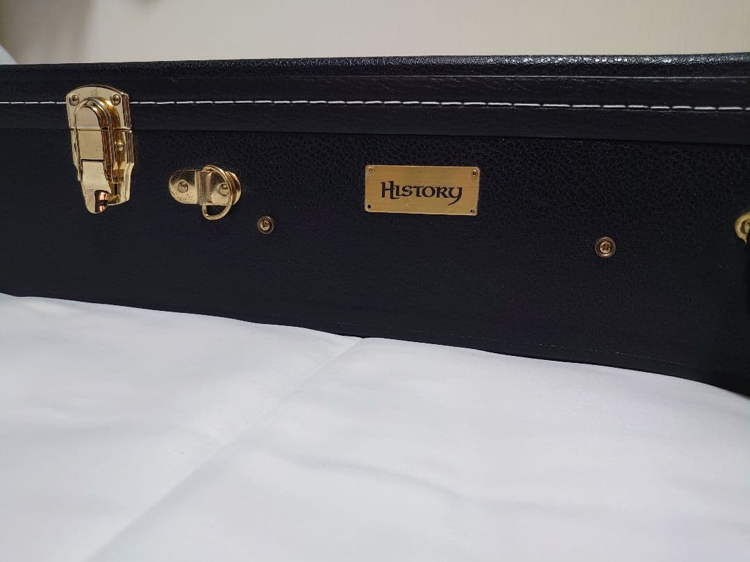 【エレアコ仕様】HISTORY NT-L4 L.R.Baggsピックアップ付