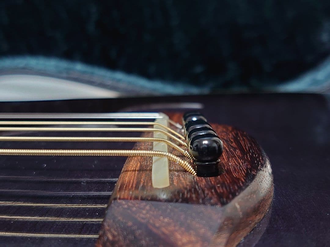 【エレアコ仕様】HISTORY NT-L4 L.R.Baggsピックアップ付