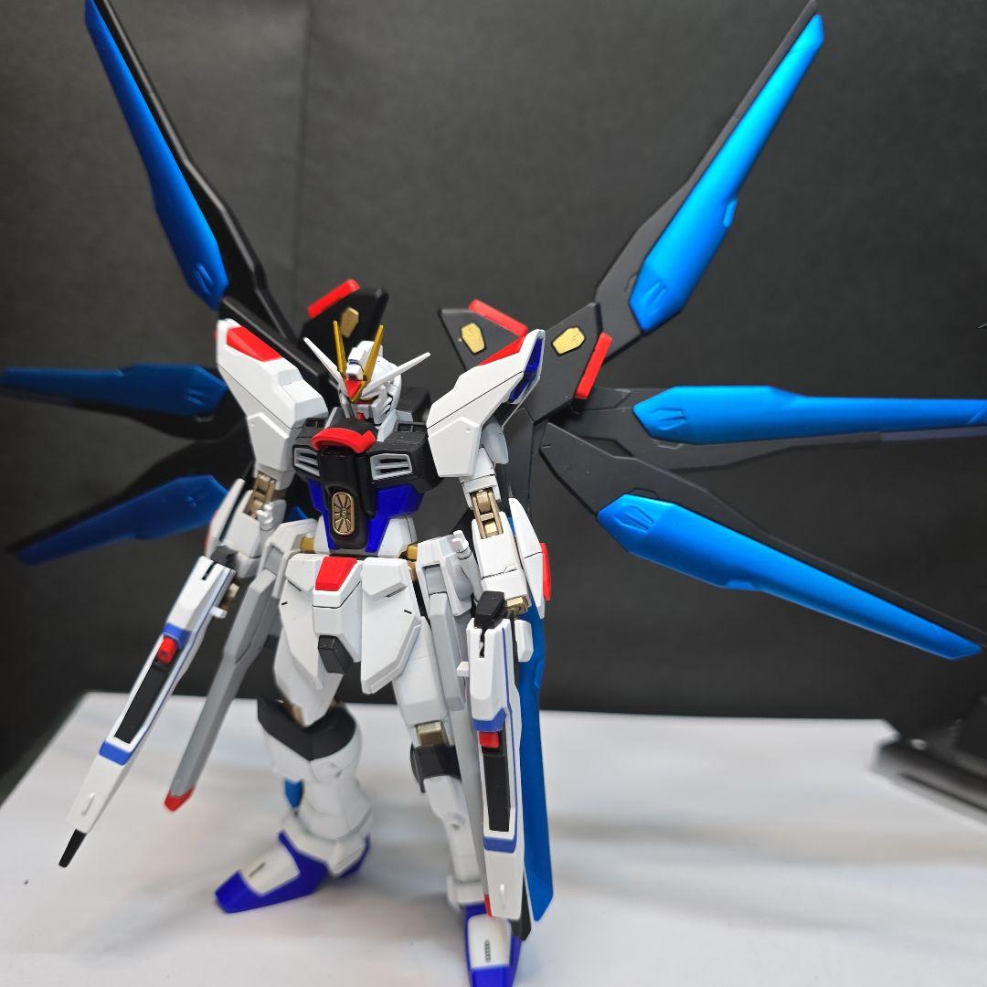 HGCE 1/144 ストライクフリーダム全塗装品　おまけ付き