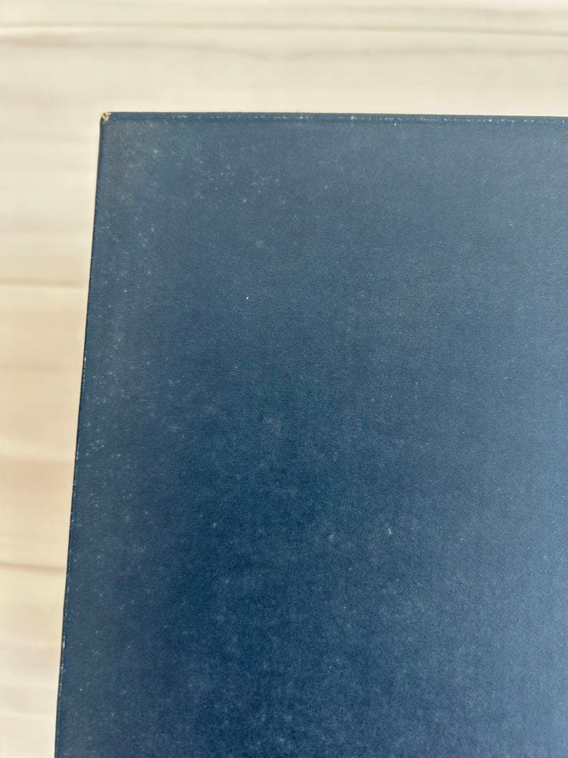 ＊＊COLE HAANコールハーン／ドライビングシューズ＊＊