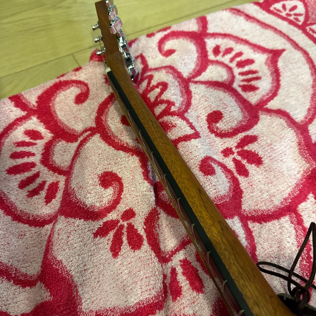 Martin Backpackar ギター