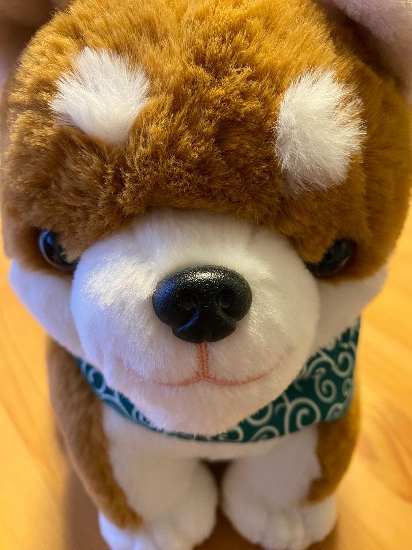 コウタ ぬいぐるみ バンダナ付き