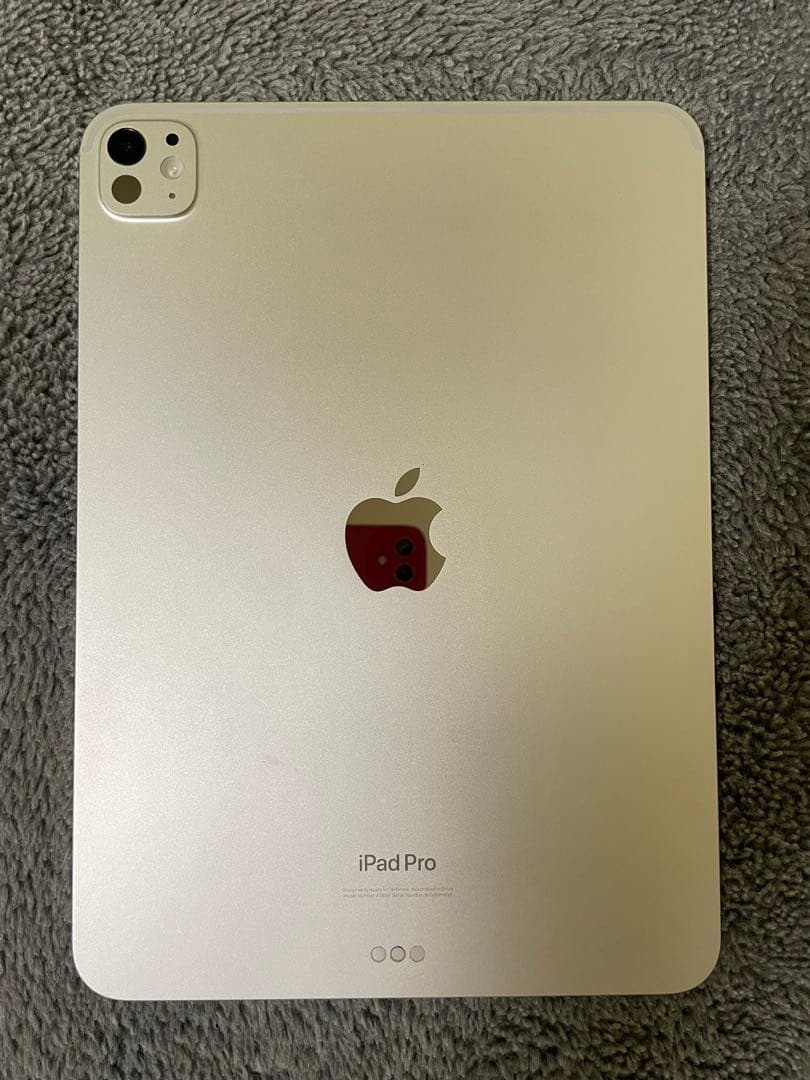 iPad Pro M4 2024 11インチ　WI-FI シルバー　本体