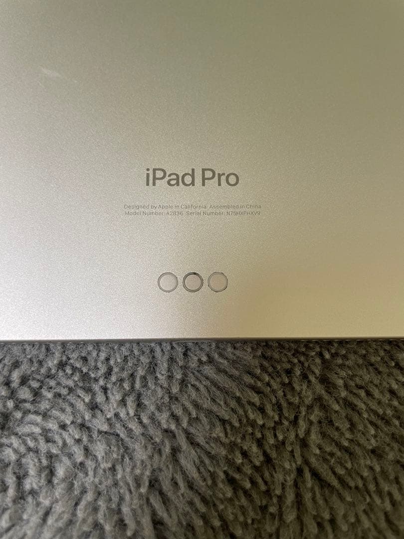 iPad Pro M4 2024 11インチ　WI-FI シルバー　本体