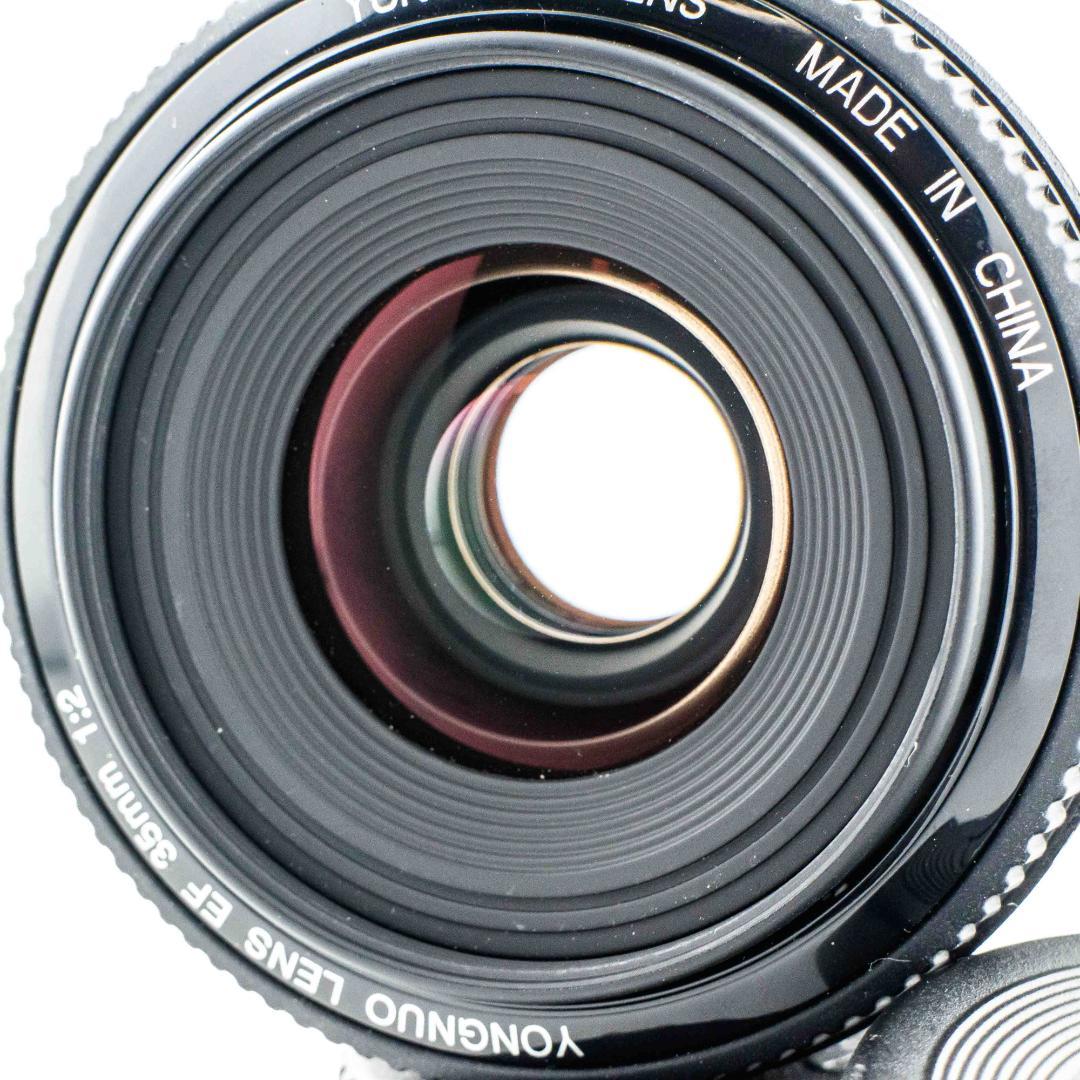 【作例あり】Canon YONGNUO EF35mm F2.0 EFマウント