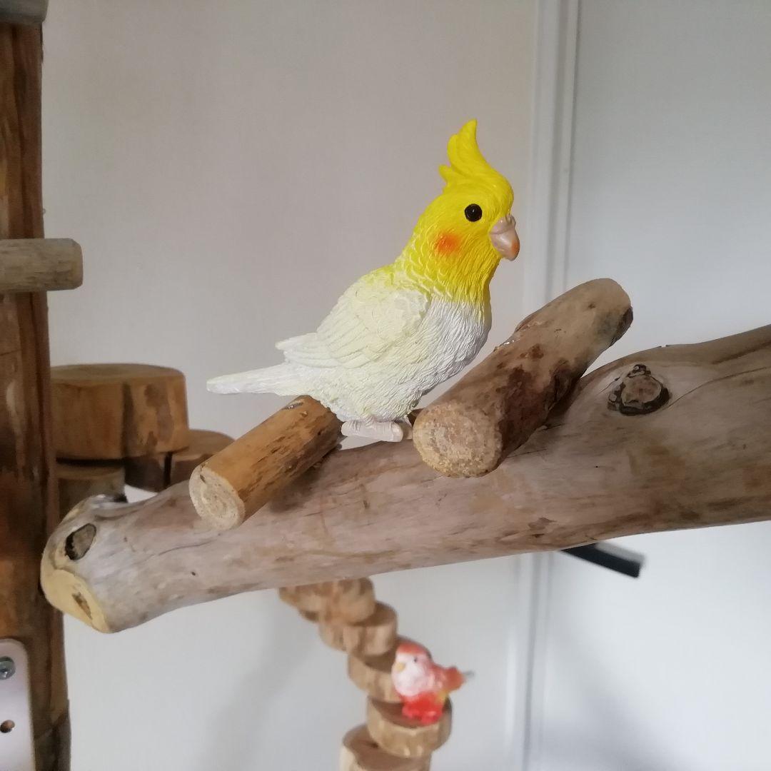 瑛 バードアスレチックジム大型 天然木 自然木 流木 止まり木 インコ