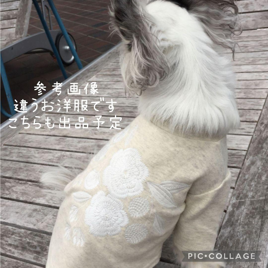 犬服　BEARDSLEY　刺繍ニット　ウール100%　　　ジェラートピケ好きな方
