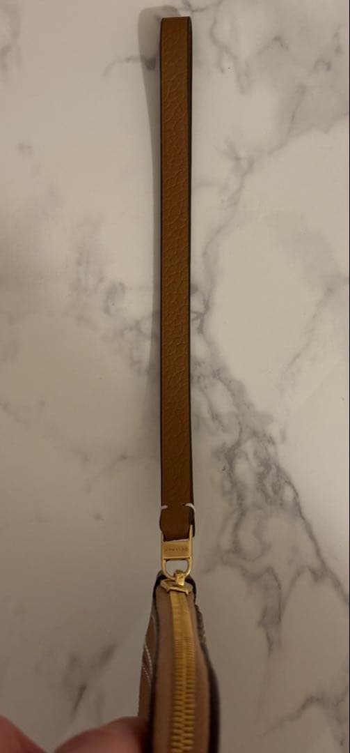 DELVAUX パンD マルチファンクションケース 財布 デルヴォー