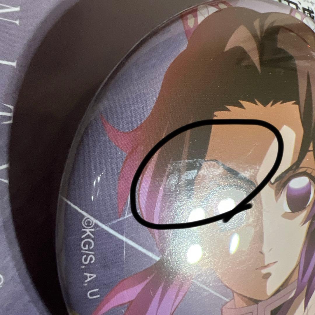 鬼滅の刃 無限城 柱展 胡蝶しのぶ まとめ売り