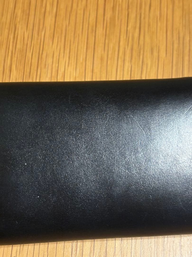 ワイルドスワンズ　ダカール