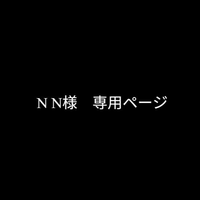 N Nページ