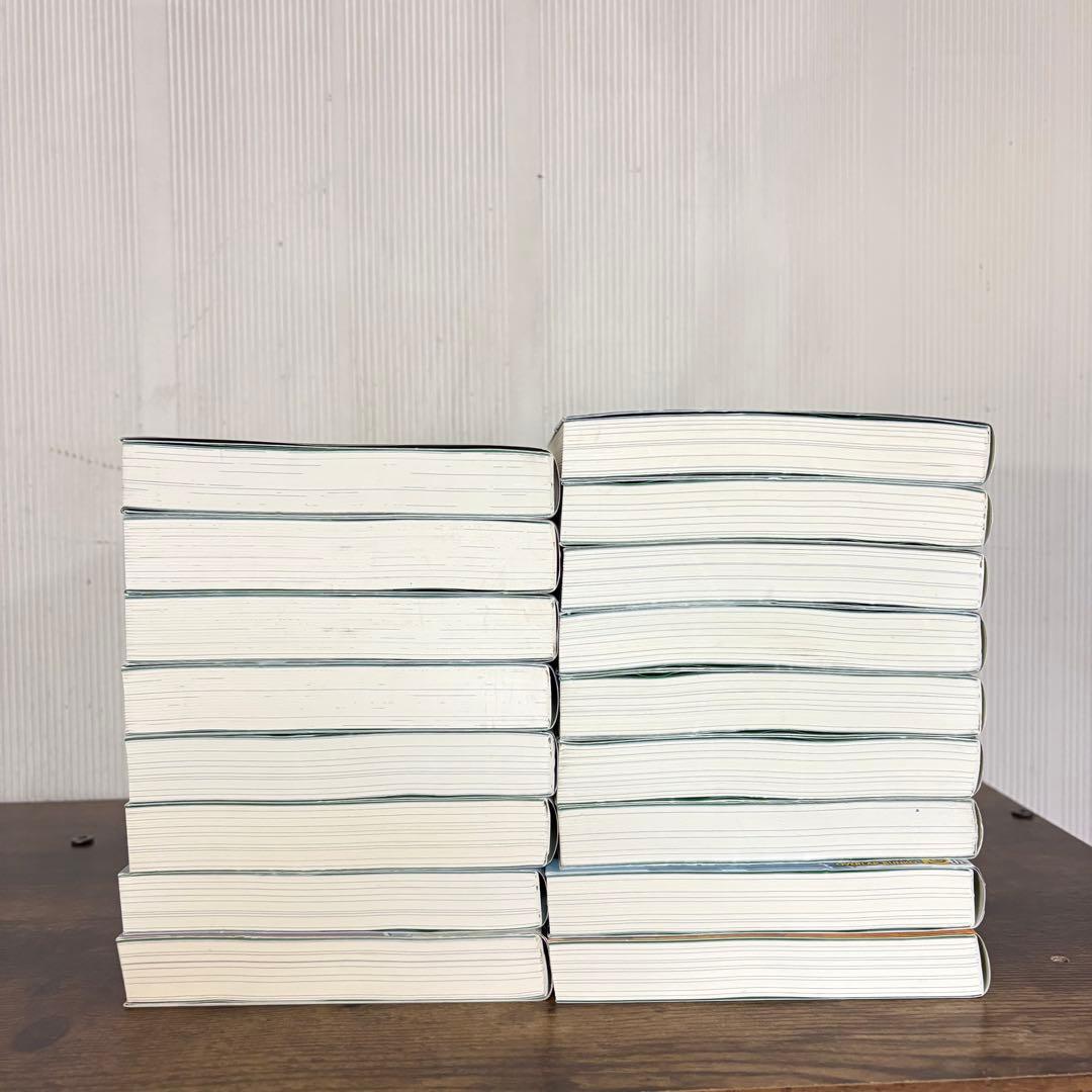 美品　とんでもスキルで異世界放浪メシ 小説版 1〜17巻 本 ラノベ