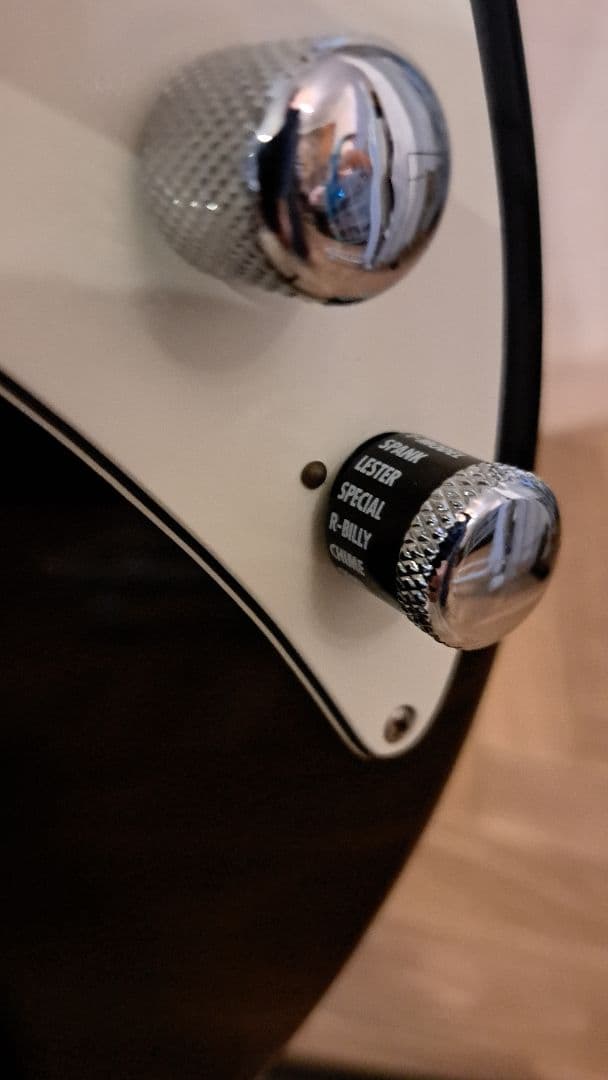 LINE6 Variax 600 バリアックス ライン6 モデリングギター