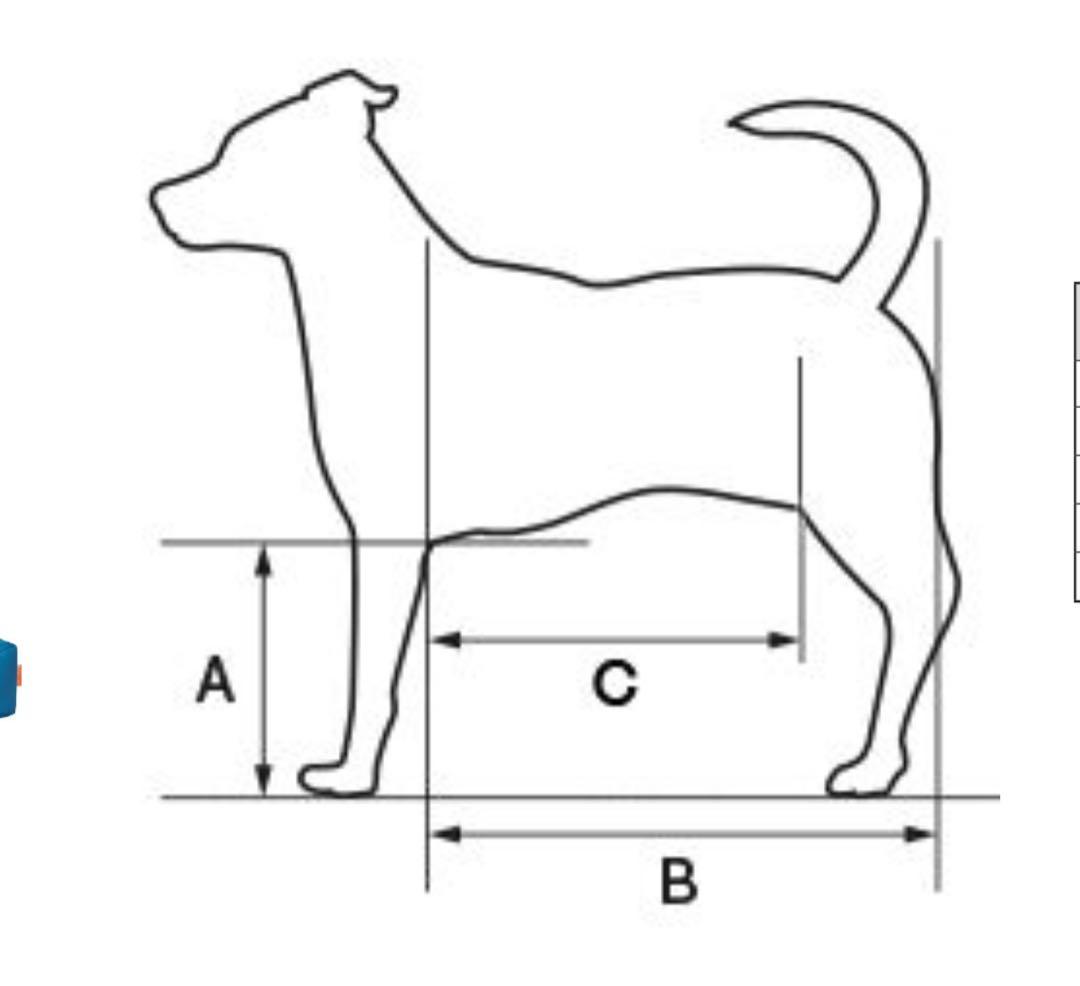 リラクッションＤＭ　（本体+カバー）