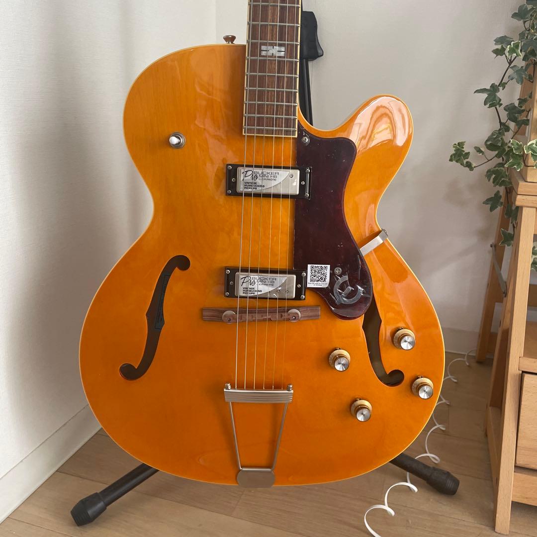 Epiphone Limited Edition ギター