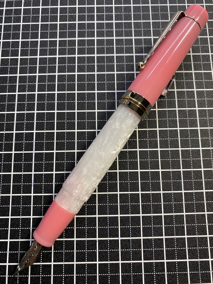 DELTA Vintage VOLONTA 万年筆　字幅F