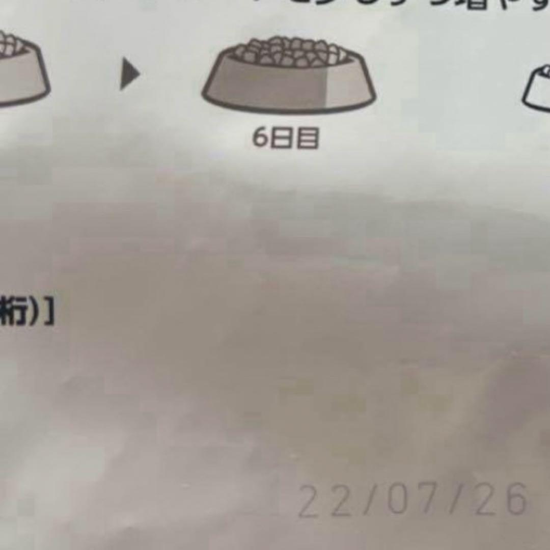  CANIN チワワ用 ドッグフード 3kg×2 袋