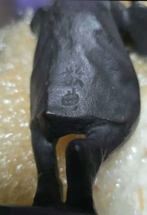 阿波おどり　人間国宝　高橋敬典作