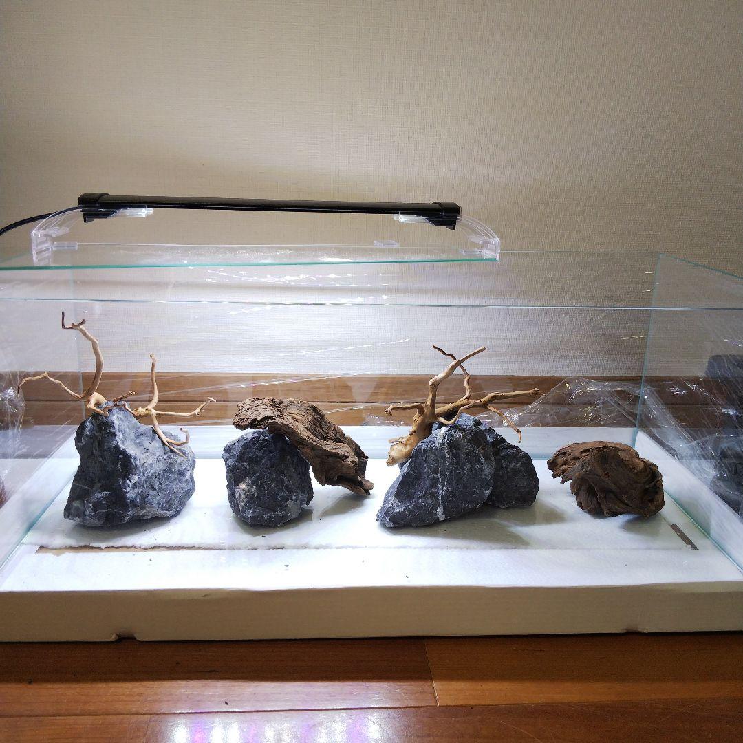 【受注生産】ベタマンション　アクアリウムレイアウト