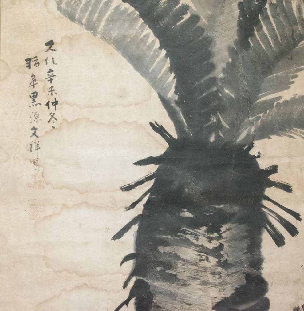 【真作】「蘇鉄」画　鳥取藩絵師　黒田稲皐 （養生箱付属）