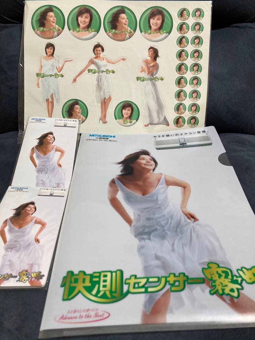 非売品　レア　藤原紀香　霧ヶ峰ノベルティ