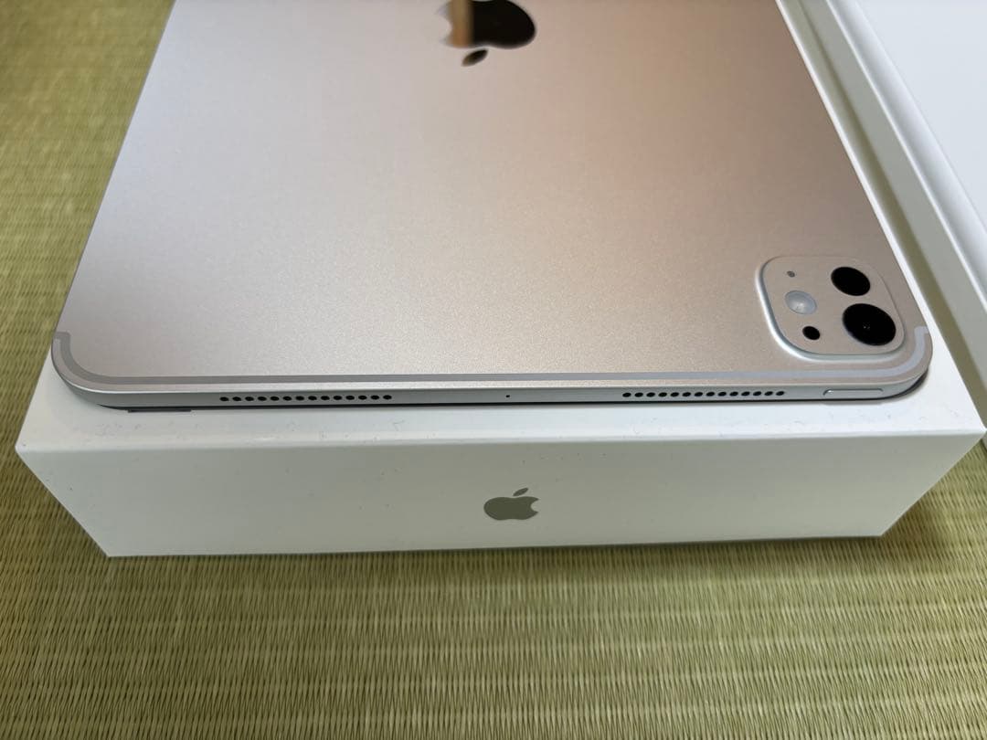 iPad Pro 11インチ (M4)Wi-Fi 256GBシルバー&純正カバー