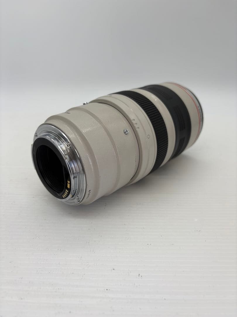 レンズ(ズーム) Canon EF 35-350mm F3.5-5.6L USM