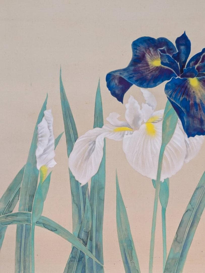 【真作】掛軸　富取風堂　菖蒲　雅趣に満ちた彩色花鳥画　共箱入　T51