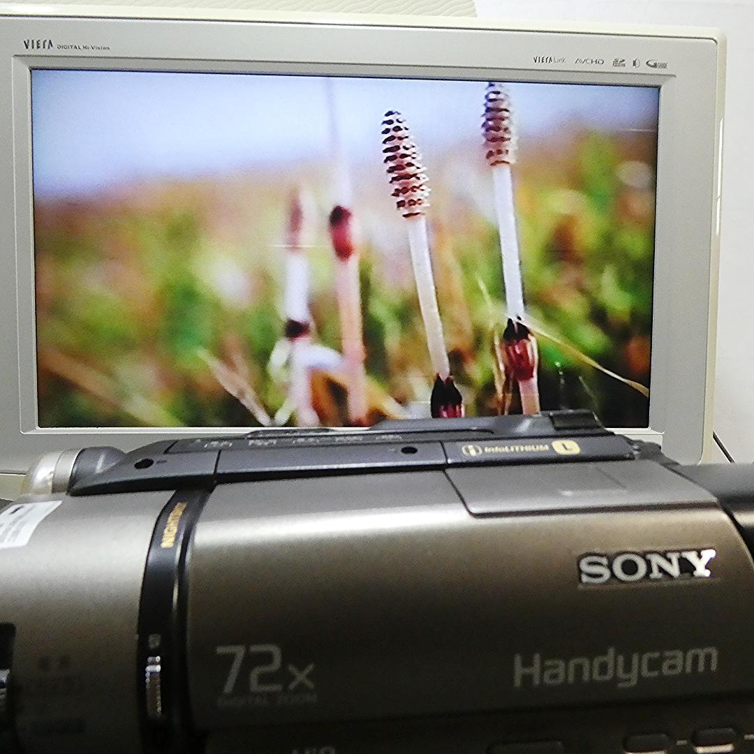 動作良好 ソニー CCD-TR290　 Video.Hi8デジタルビデオカメラ