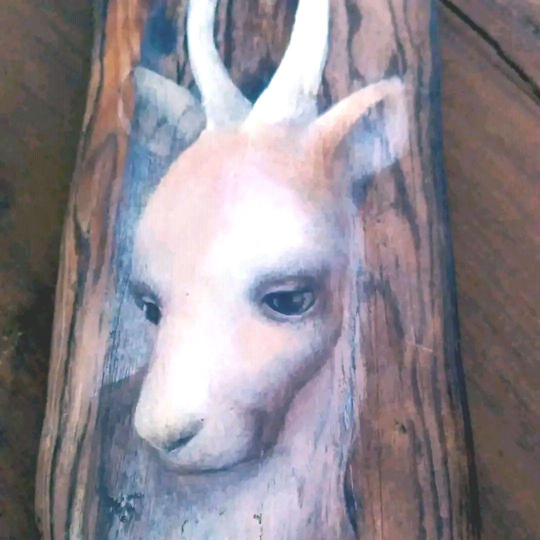 一時値下げプロ作家壁掛け超絶流木アート工芸品　世界観流木絵画　不思議な鹿？