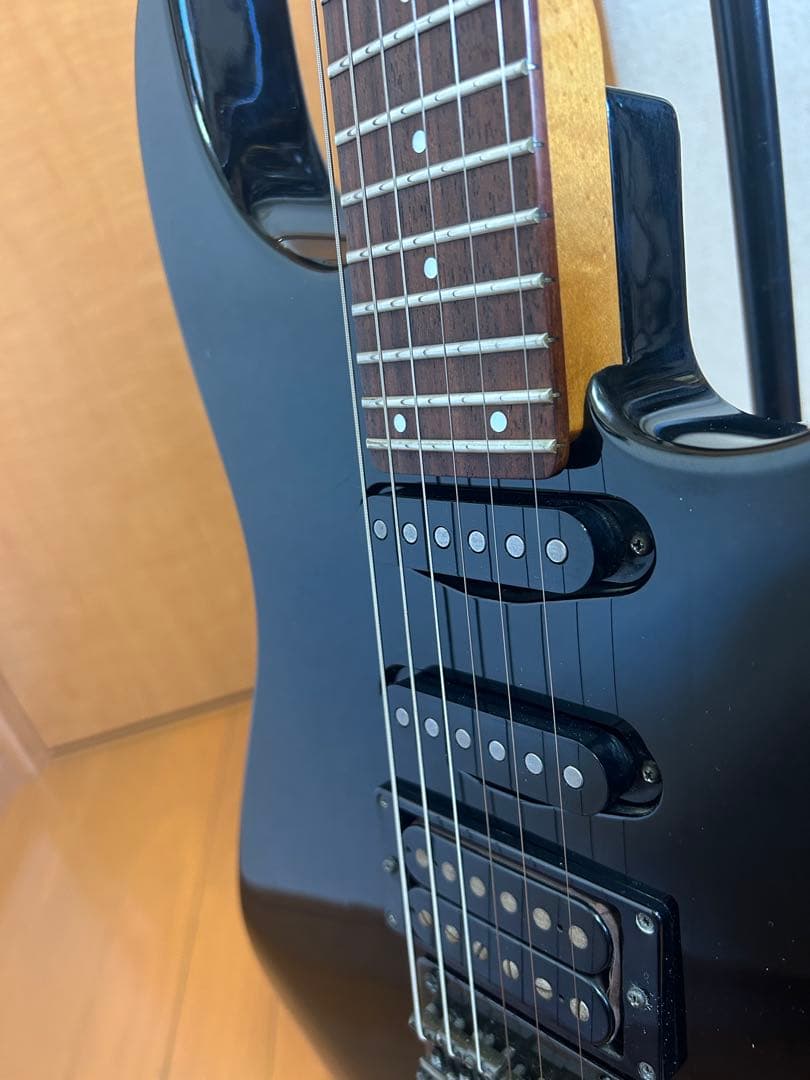 FERNANDES エレキギター