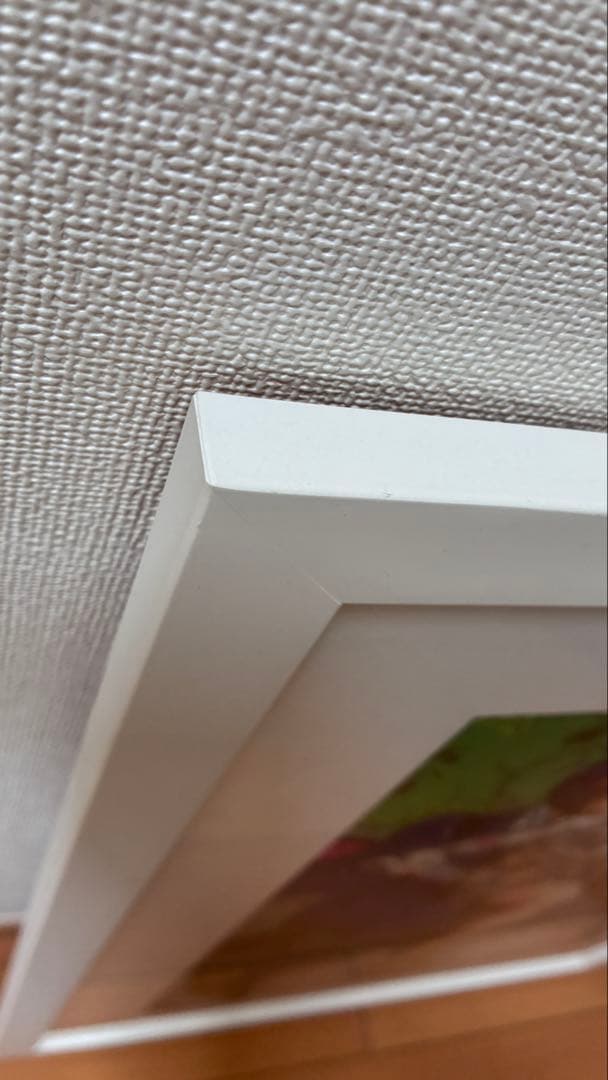 ジョジョの奇妙な冒険　徐倫＆ブチャラティ 複製原画　荒木飛呂彦