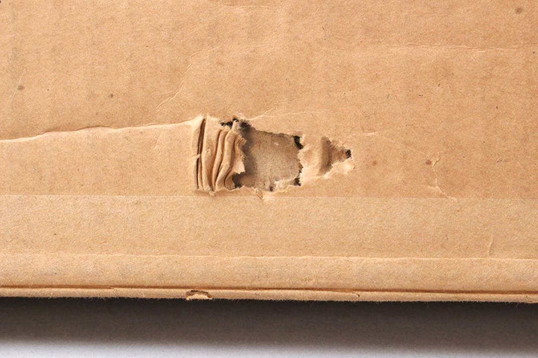 No4526額装　川村憲邦　金銘　遊鯉図　色紙　紙箱付　日本画　古美術　送料無料