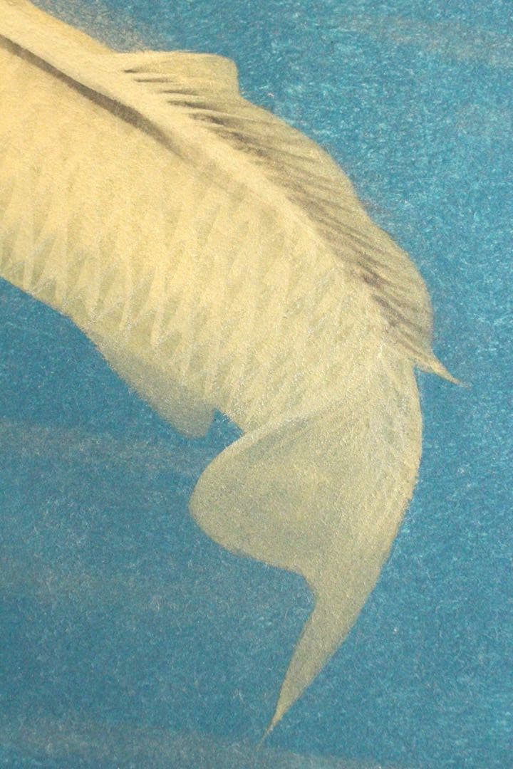 No4526額装　川村憲邦　金銘　遊鯉図　色紙　紙箱付　日本画　古美術　送料無料